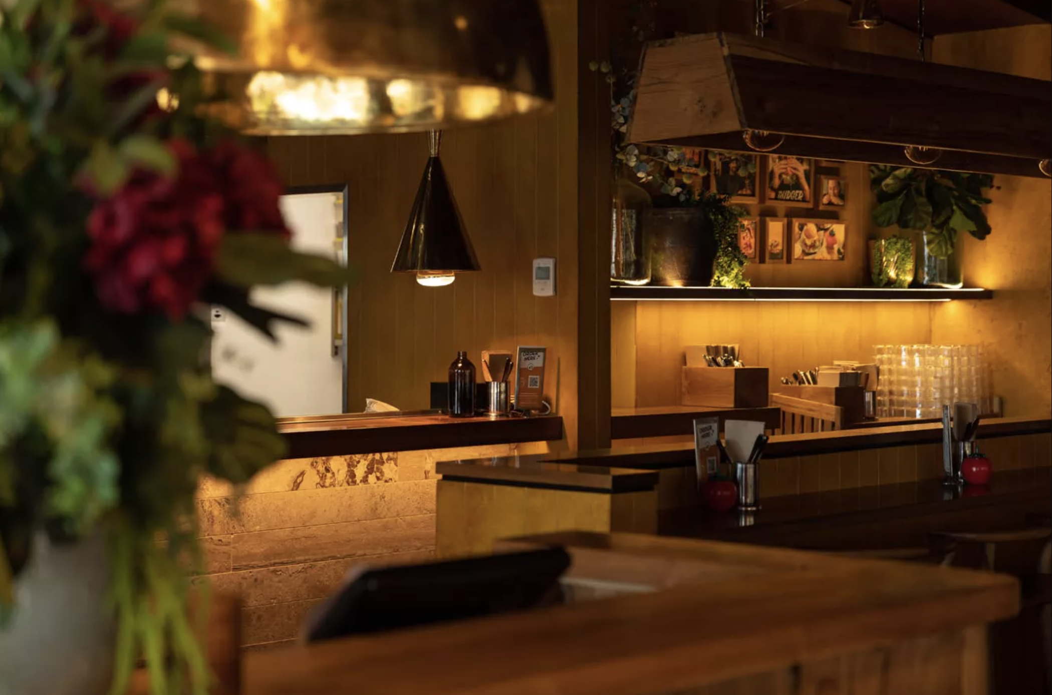 Screen Shot 2024-01-16 at 10.52.23 AM.png