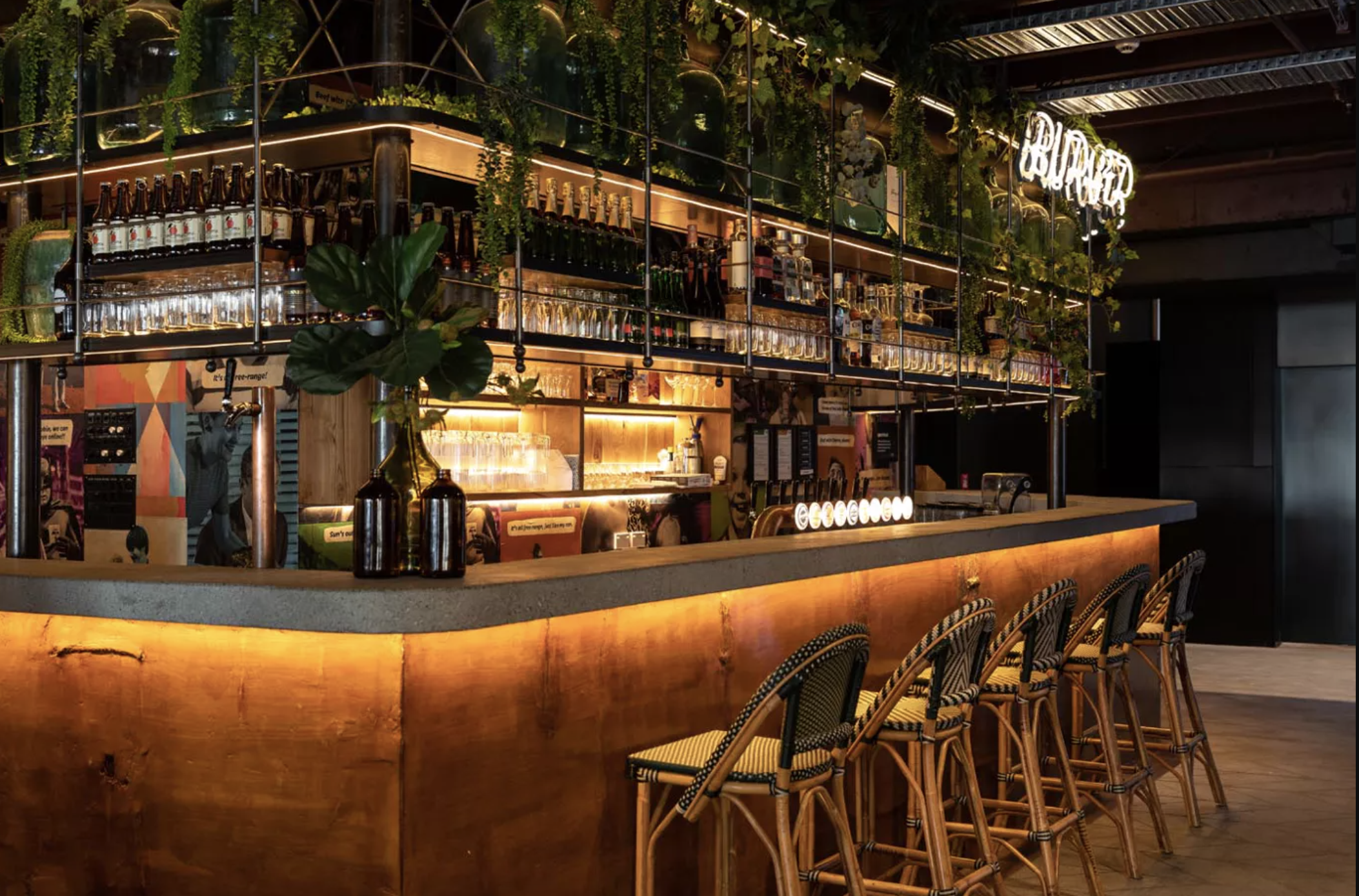 Screen Shot 2024-01-16 at 10.51.58 AM.png