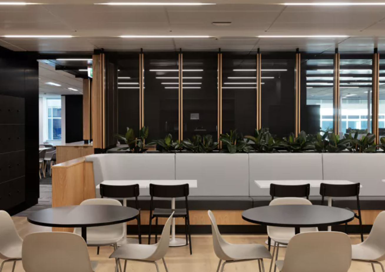 Broad Spectrum 1.png