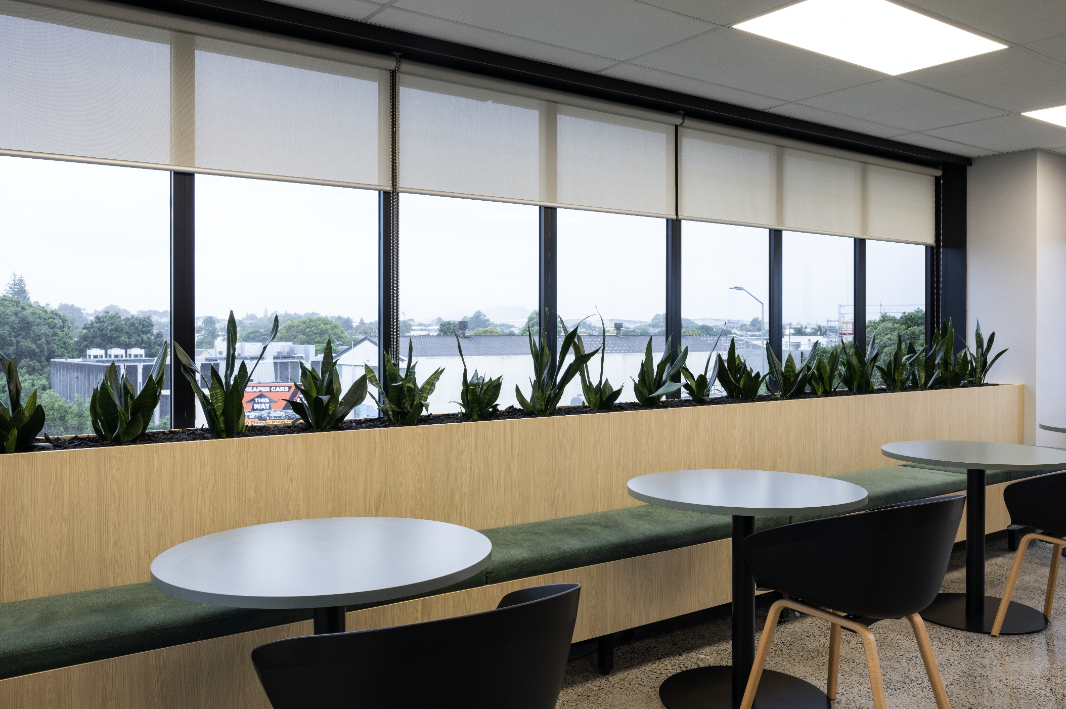 Screen Shot 2024-04-29 at 2.59.05 PM.png