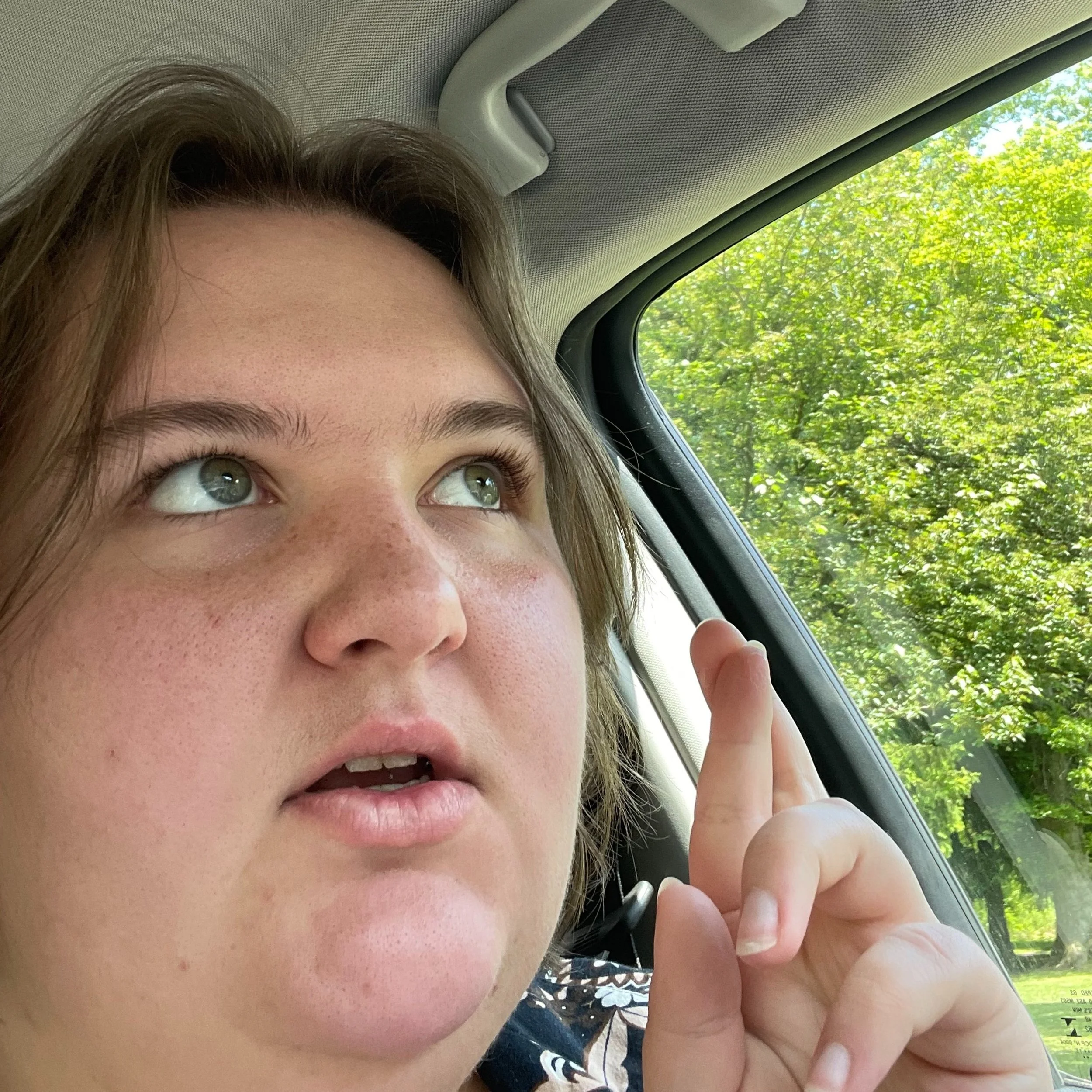 The journey to virginia