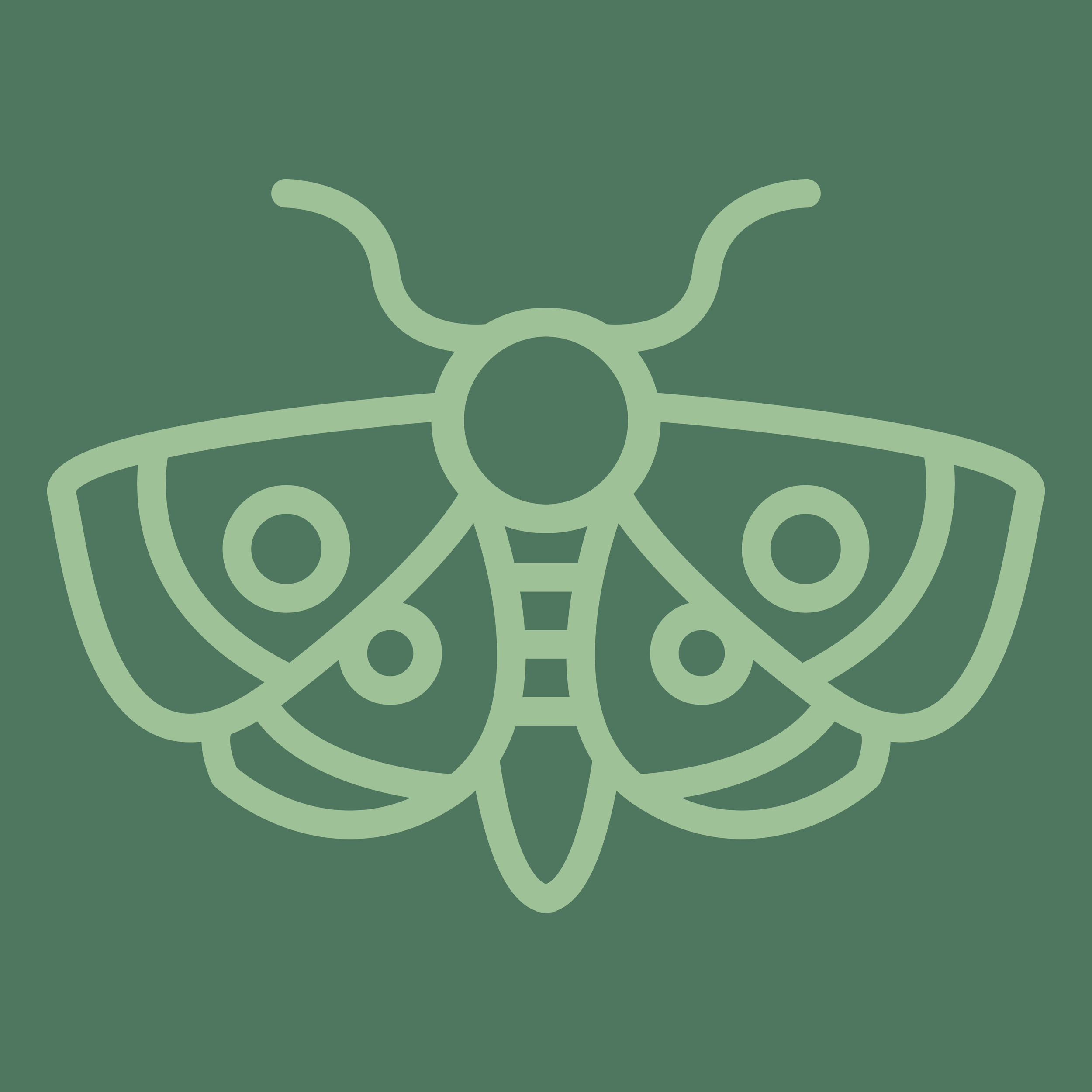 Crop Report Icons-02.png