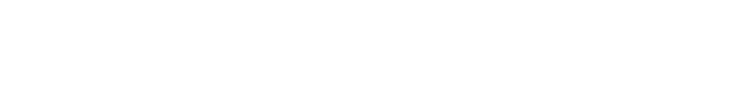 LITVINOV LAW PLLC