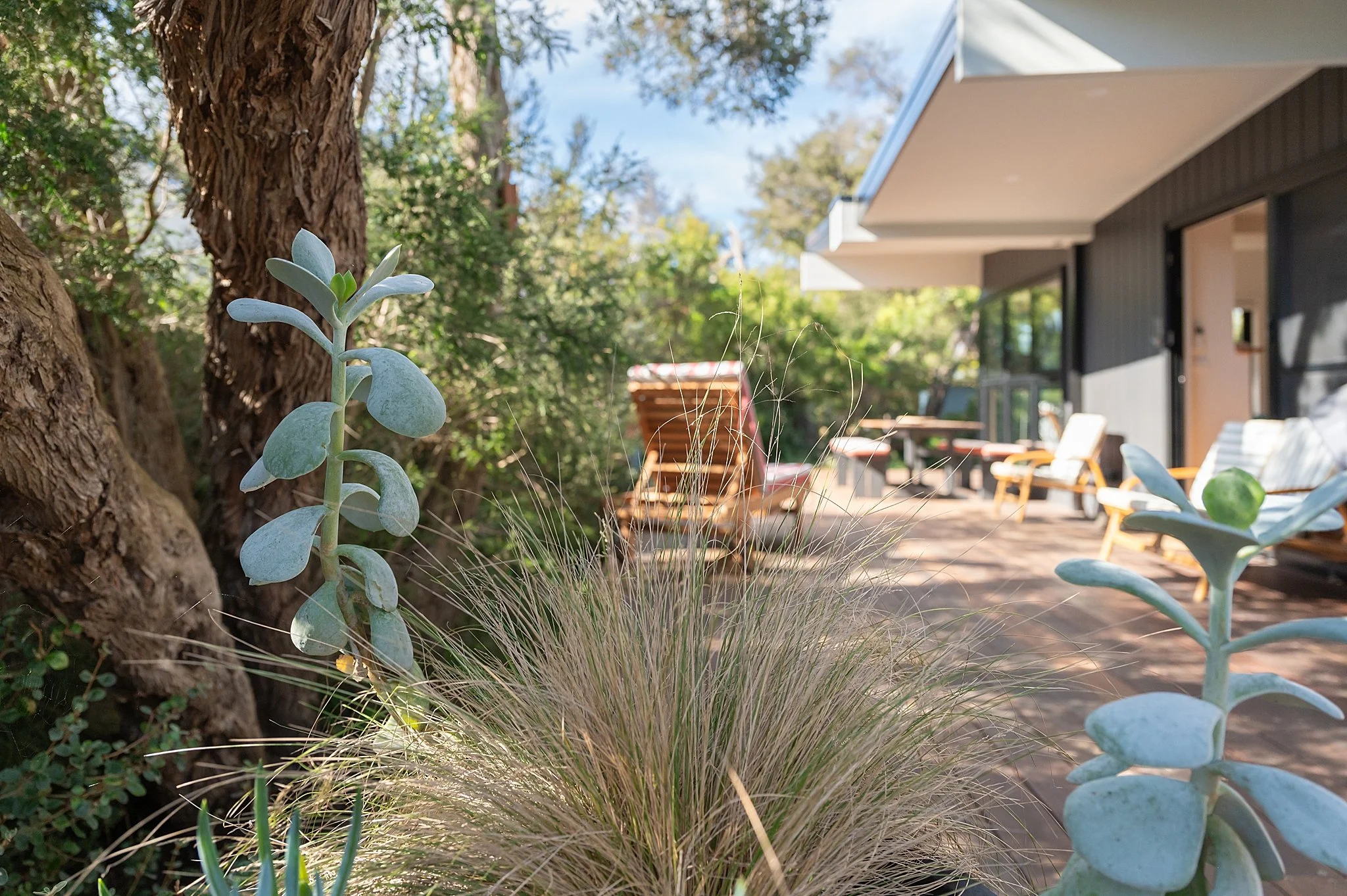 Architectural renovation Blairgowrie by Eighth Degree Homes.jpg