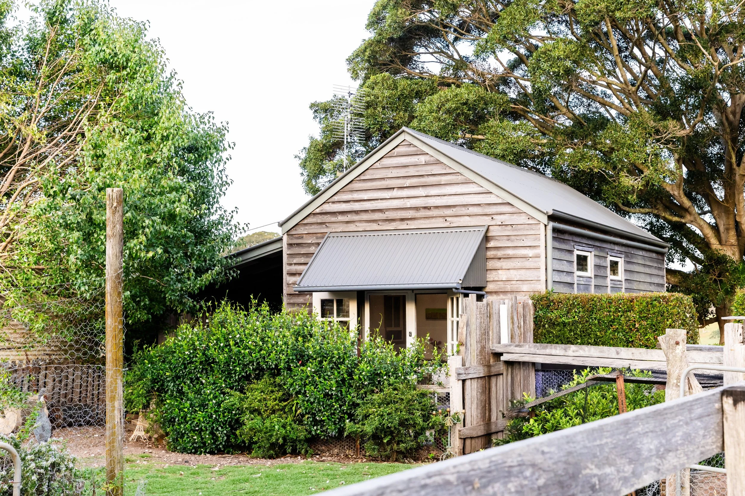 garden and studio jan 2026.jpeg