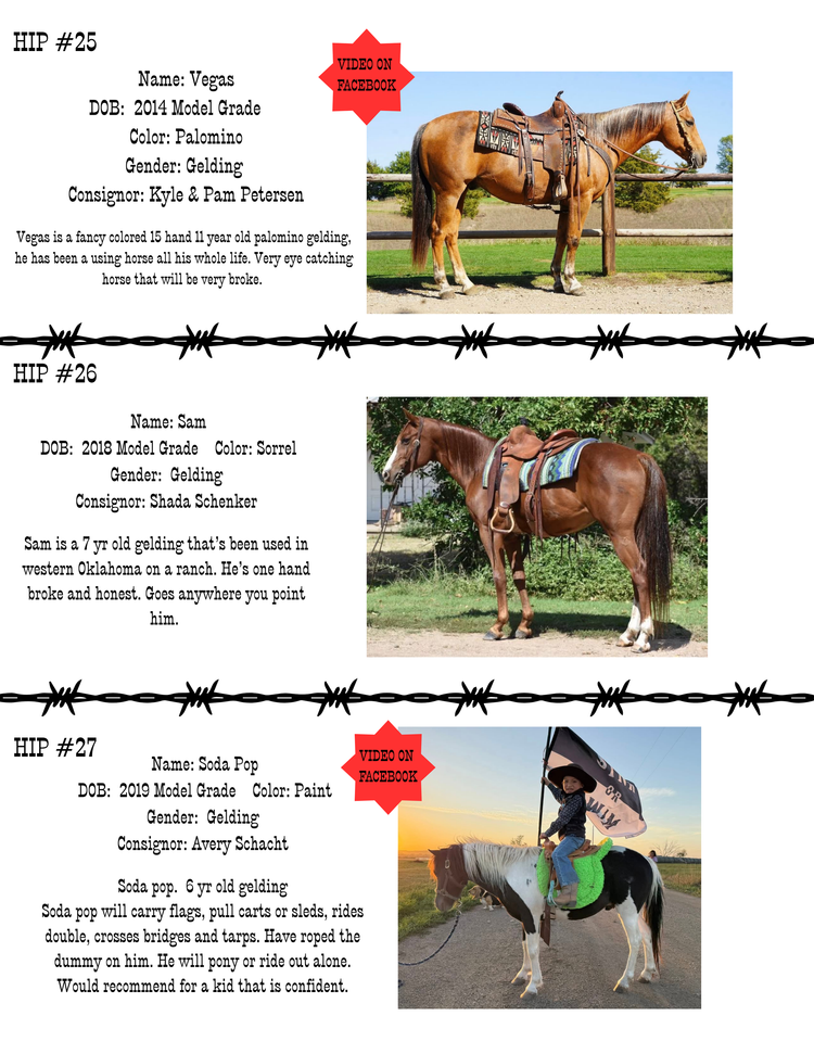 HORSE SALE — Corsica Horse Sales
