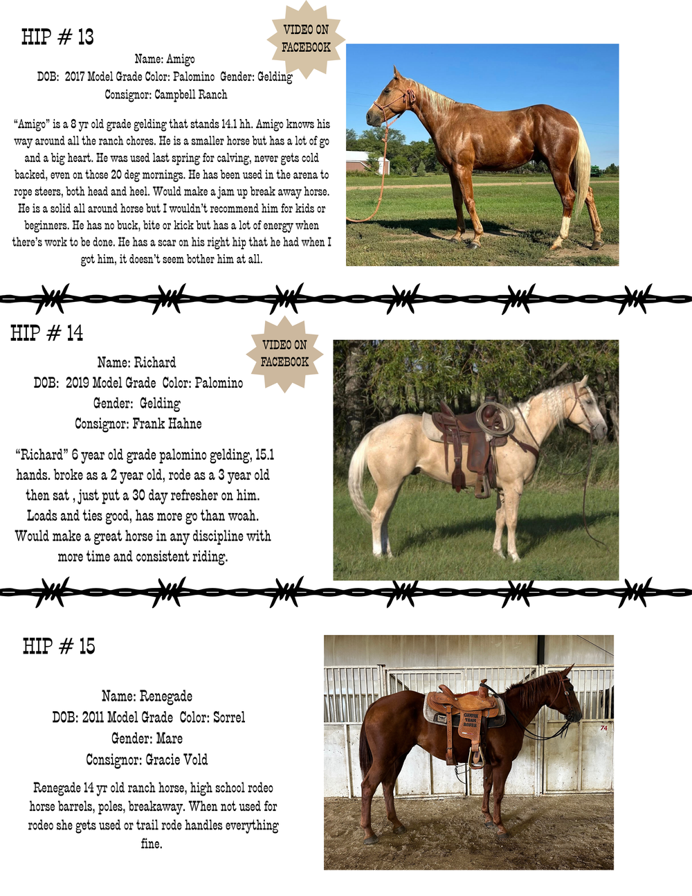 HORSE SALE — Corsica Horse Sales