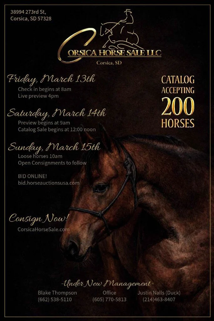 March Catalog Horse Sale