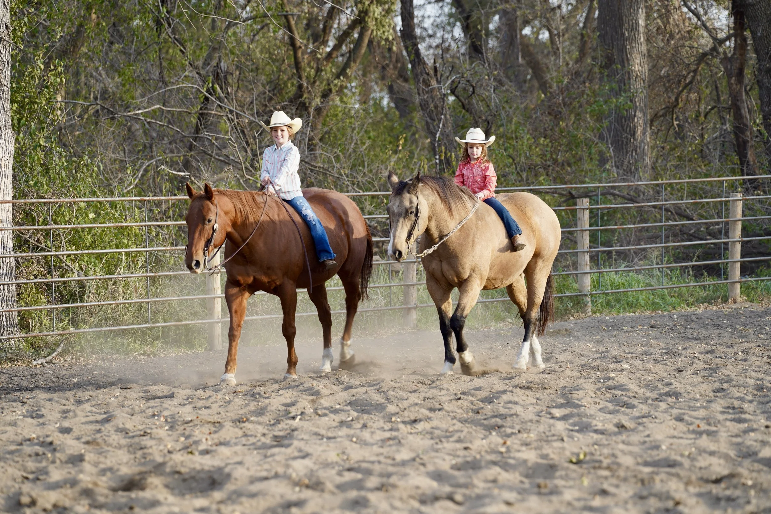 Appointments 1 — Corsica Horse Sales