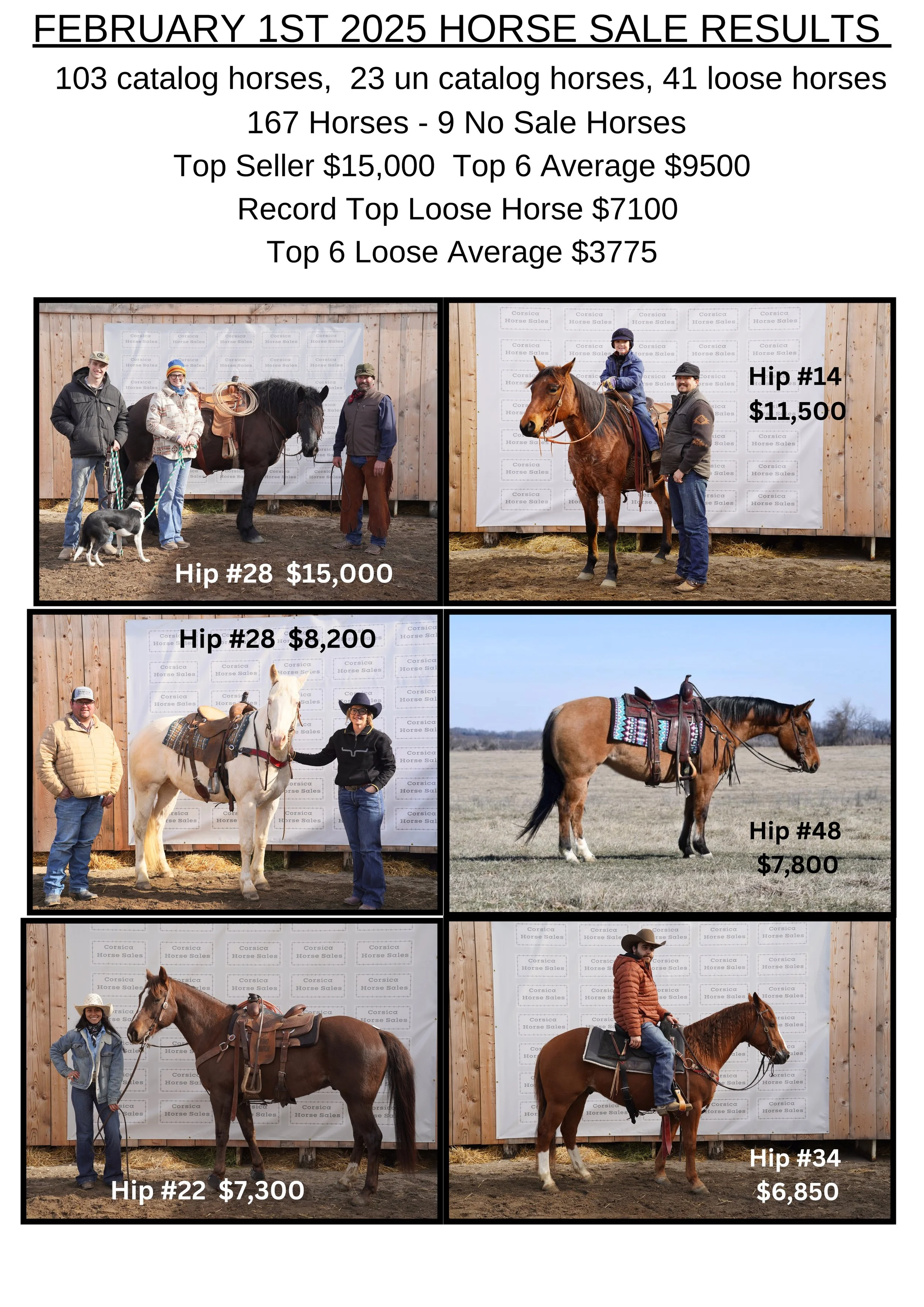 SALE REPORTS.jpeg