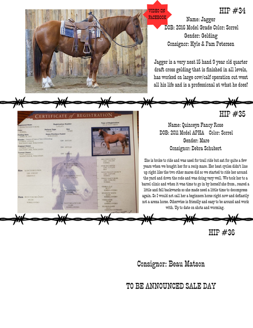 HORSE SALE — Corsica Horse Sales