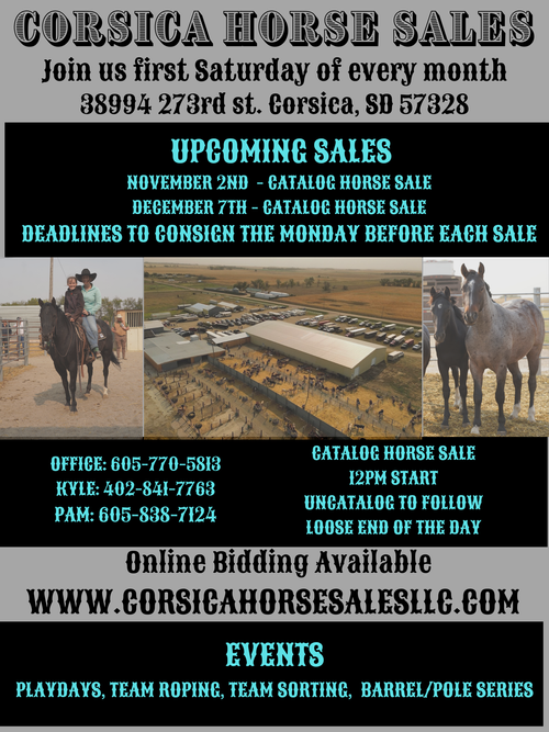 Corsica Horse Sales