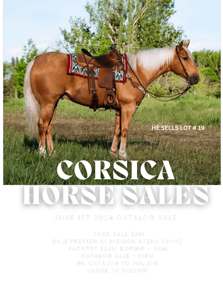 General 2 — Corsica Horse Sales