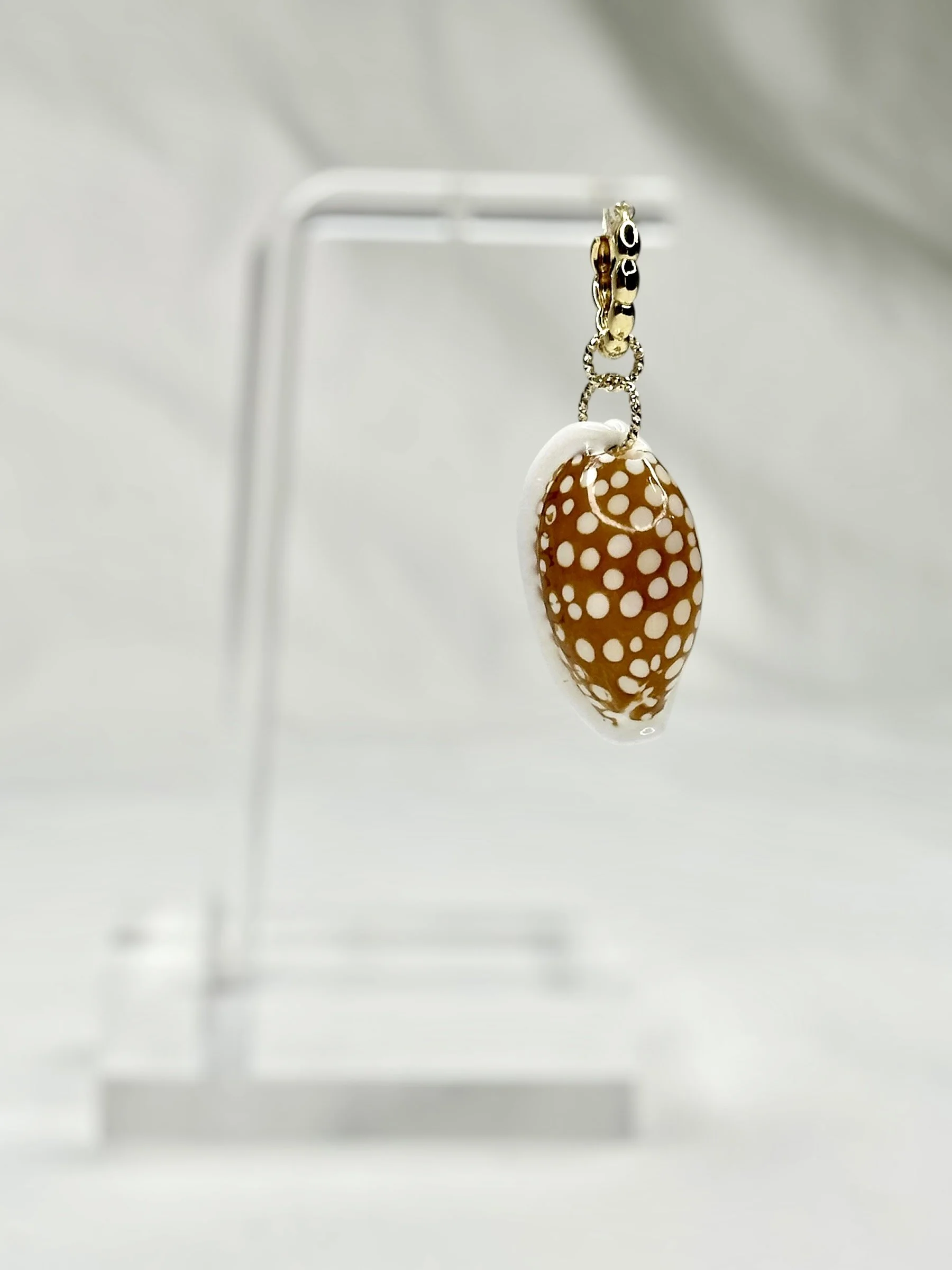 sieve cowrie earring