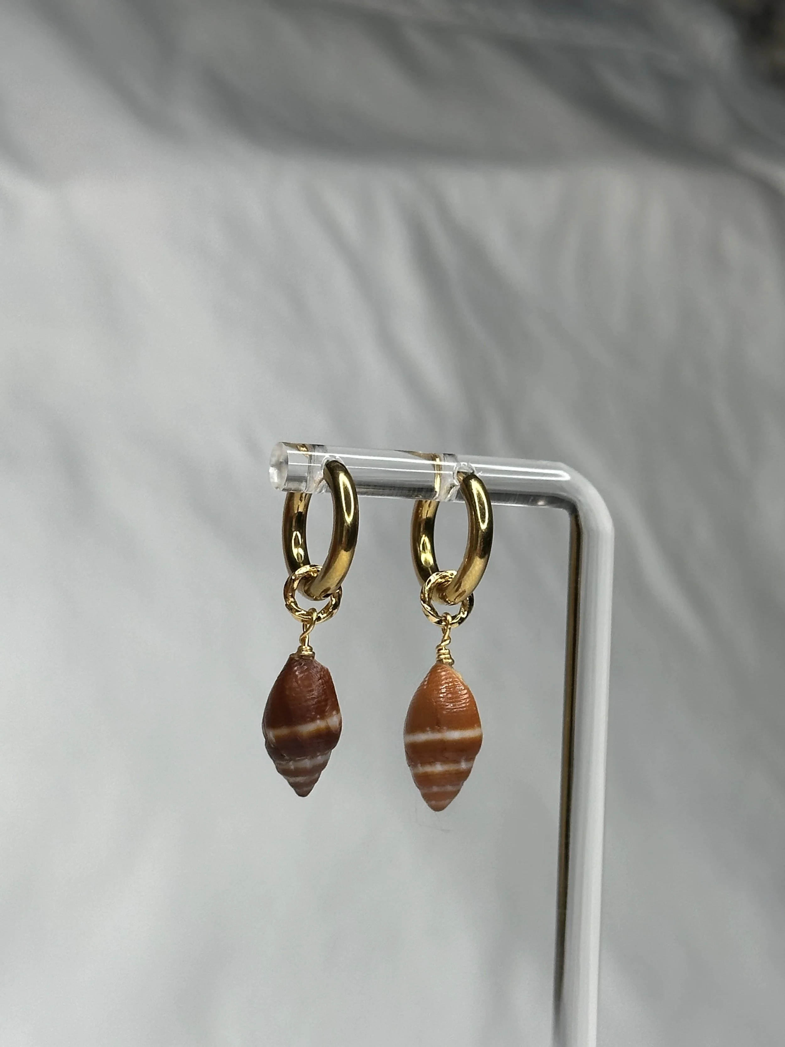Strigatella Auriculoides Miter Shell Hoop Earrings