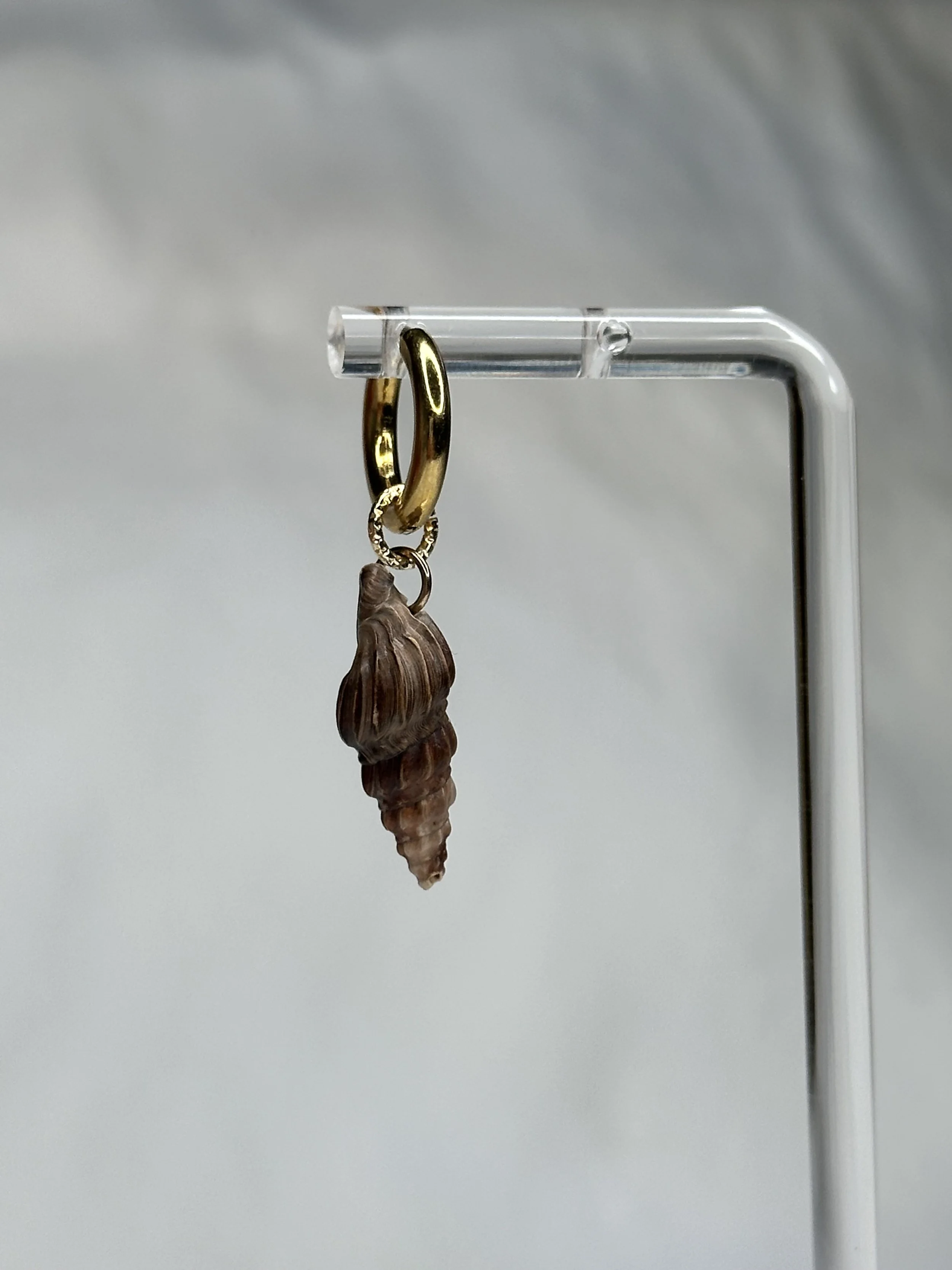 Turreted Conelet Fossil Shell Earring
