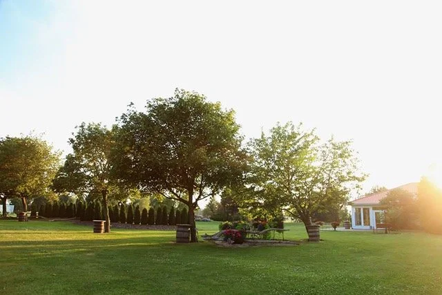 Gardens in Summer. Cherry Pavilion.jpeg