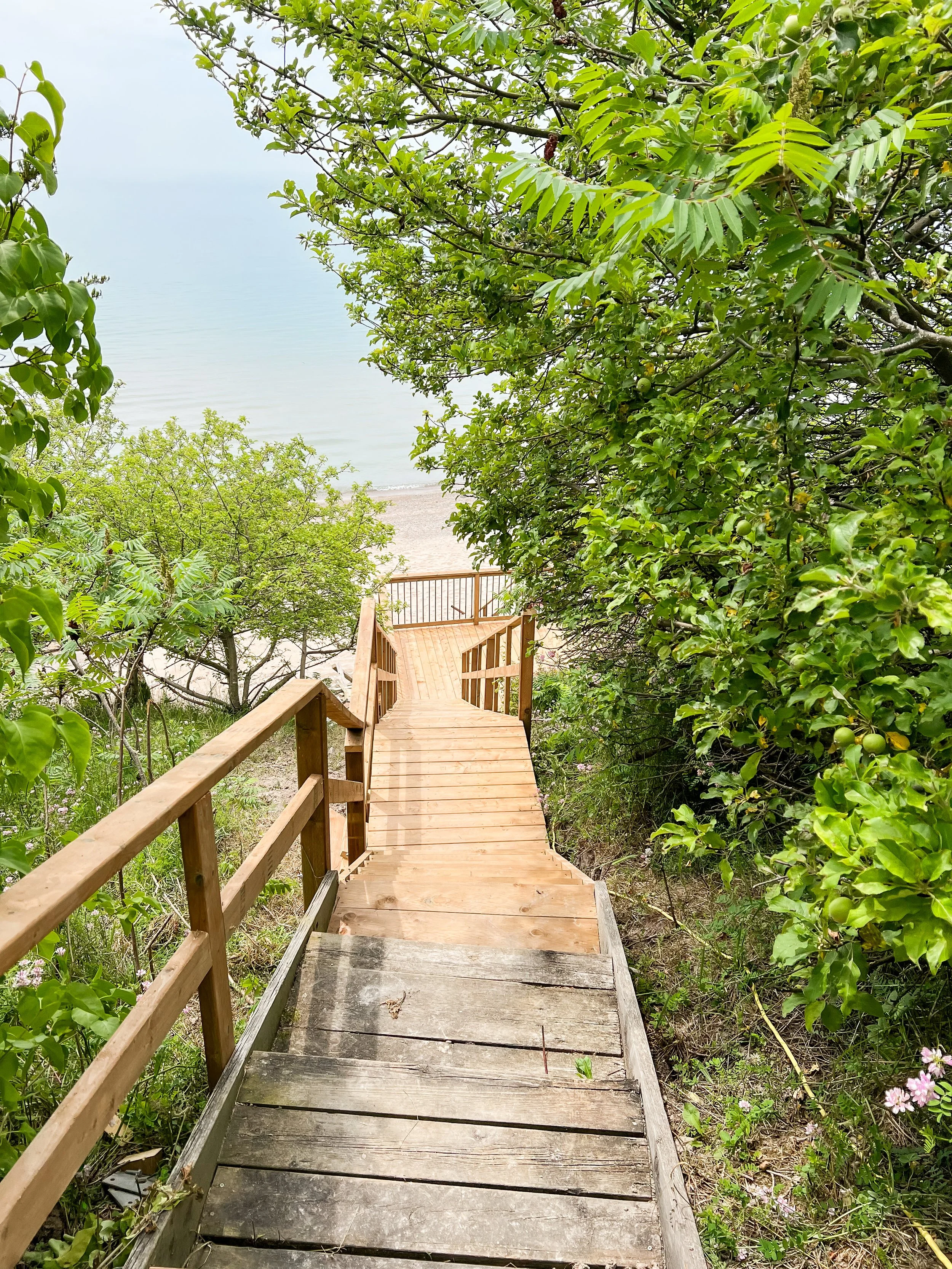 beach access.JPG