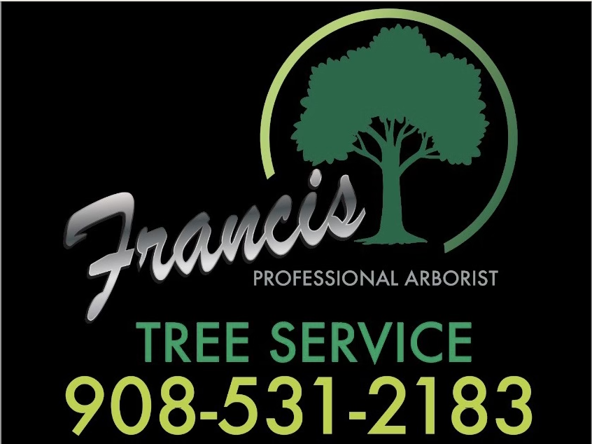 Francis Tree Service LLC