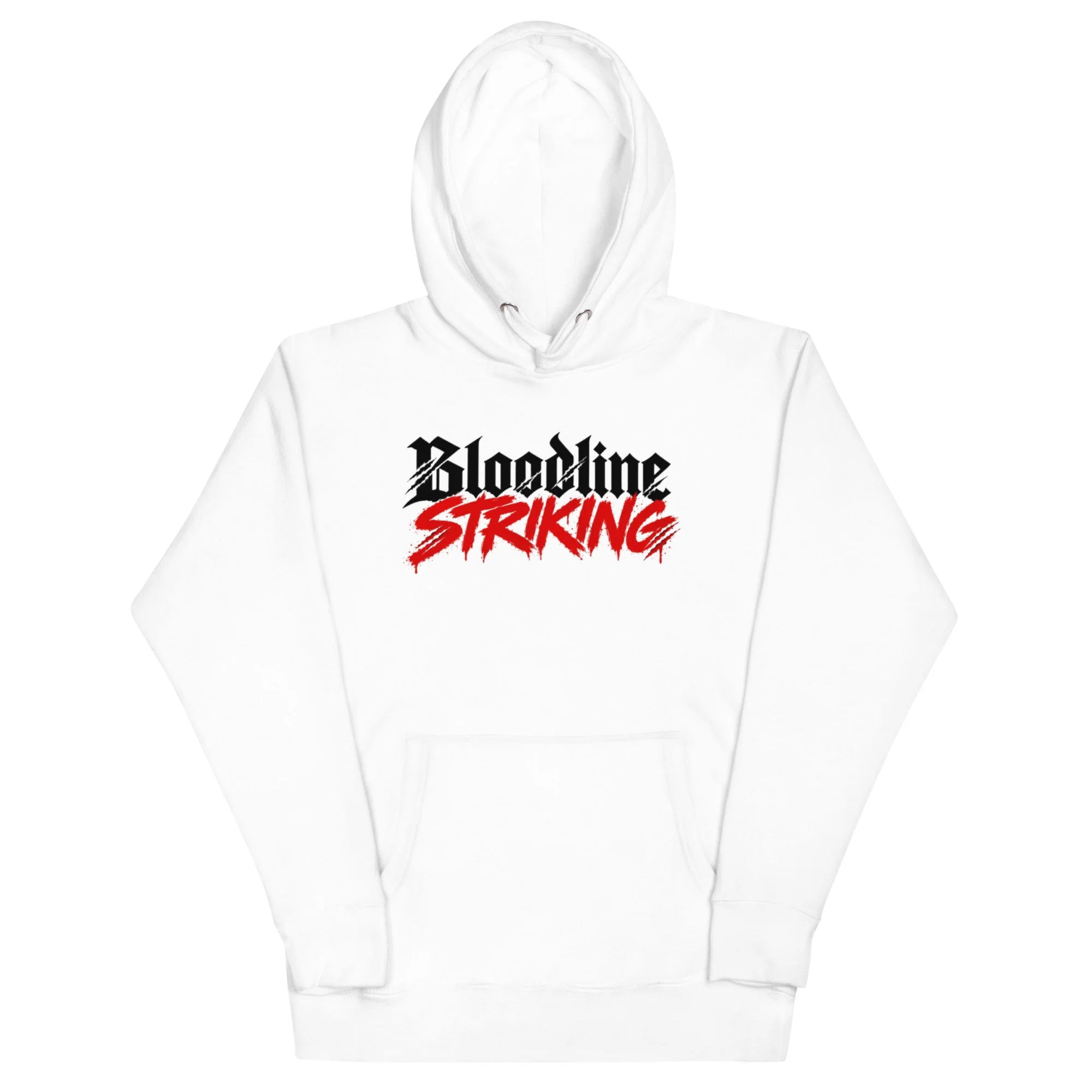unisex-premium-pullover-hoodie-white-front-6ace650247783.jpg