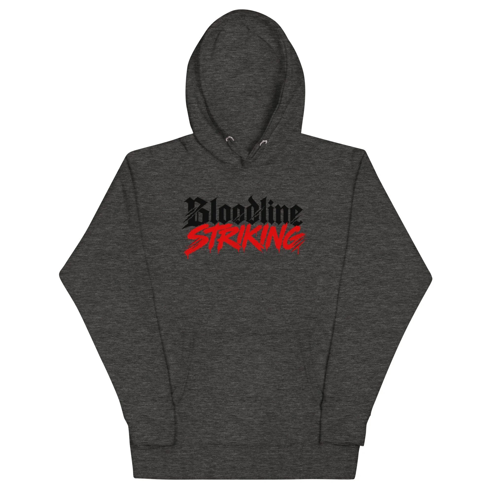 unisex-premium-pullover-hoodie-charcoal-heather-front-6ace65024d22c.jpg
