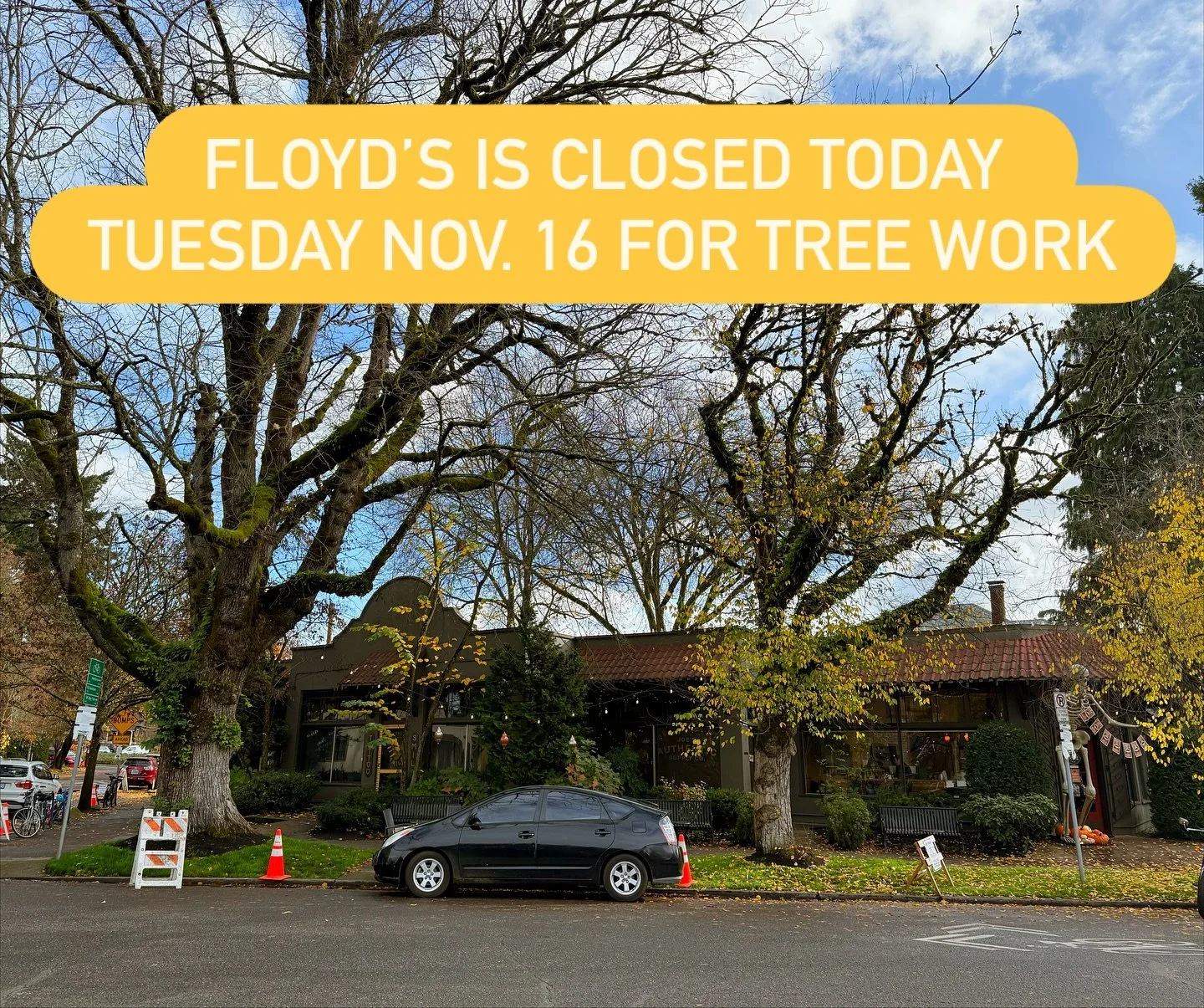 We are closed today to remove these two 100 year-old elm trees. Sadly they have had a rough last few years, and it&rsquo;s their time. We&rsquo;ll be back regular hours tomorrow.
