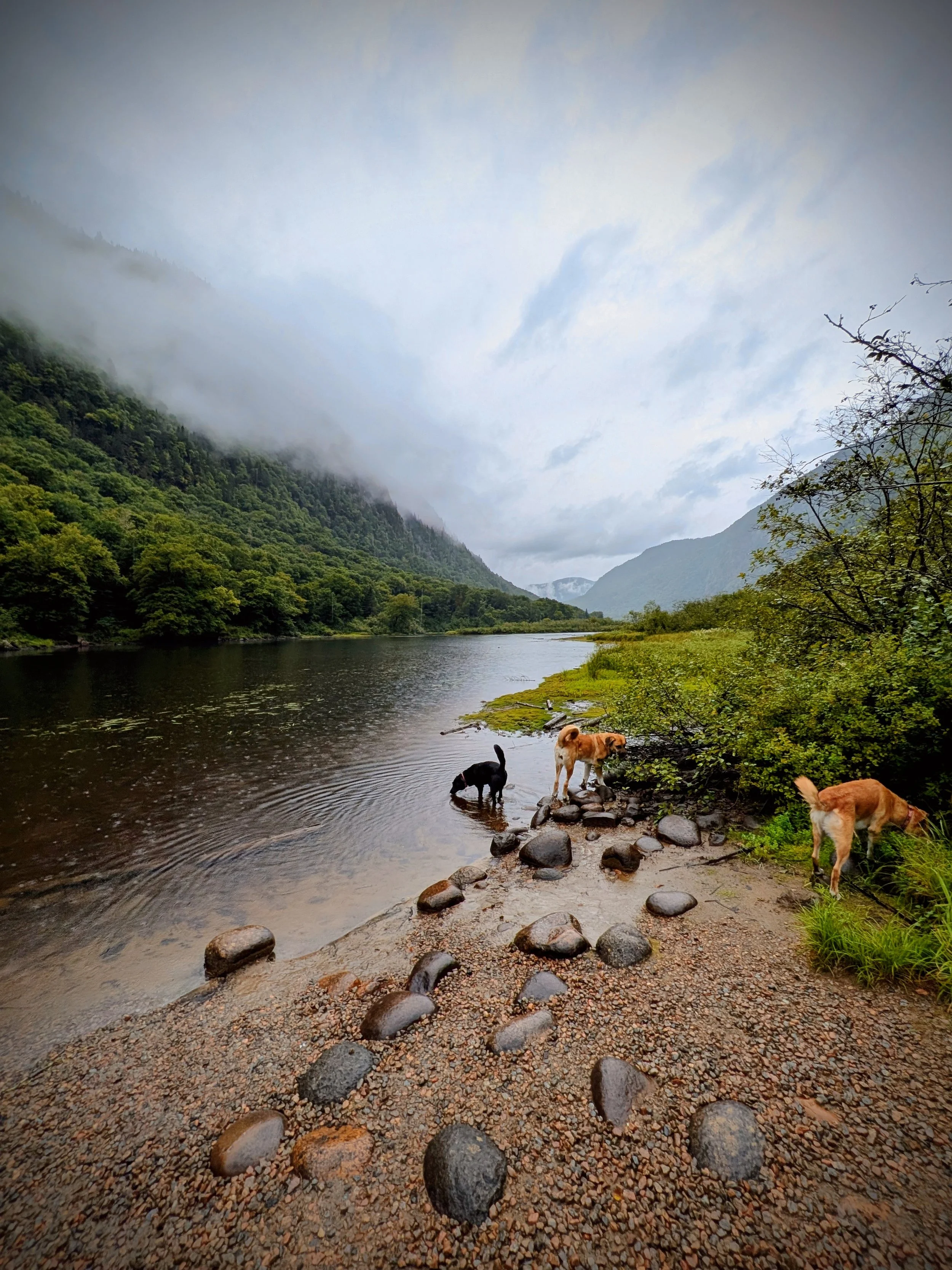 The Entitlement Rebellion: Why Survival is No Longer the Goal