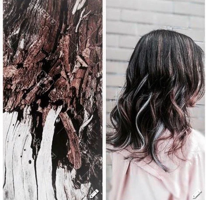 Side-by-side comparison of tree bark texture and wavy brown hair.