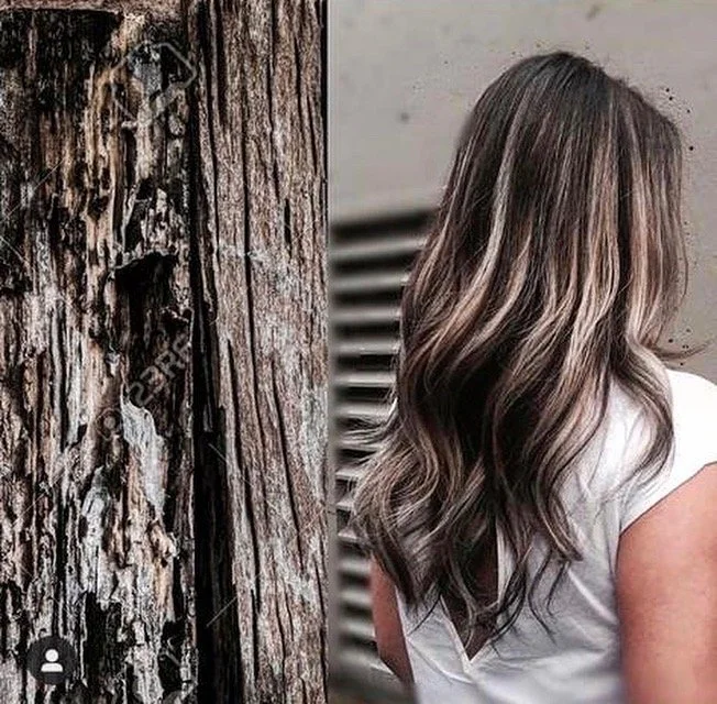 Side-by-side comparison of tree bark and long wavy brown hair with highlights.