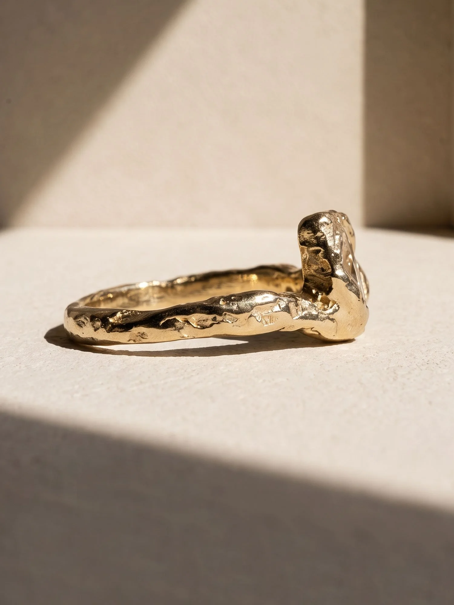 Venus-1ct-2.jpg