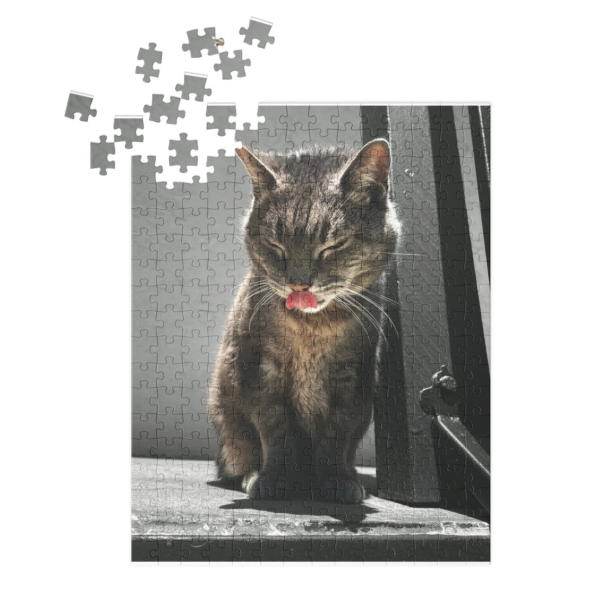 Puzzled Bob with Tin Box