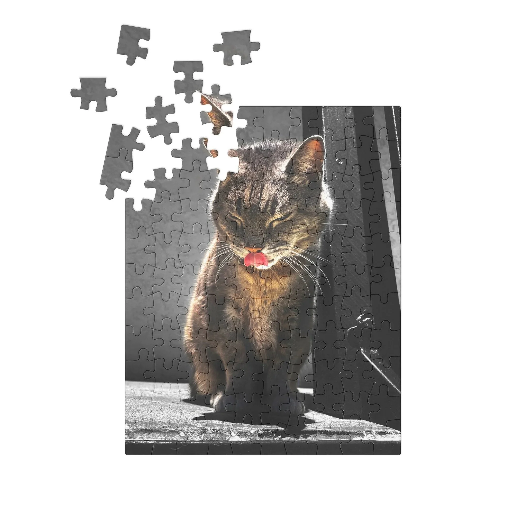 jigsaw-puzzle-with-tin-white-%28glossy%29-10x8-%28110-pcs%29-front-6a2f9ade8e9a1.jpg