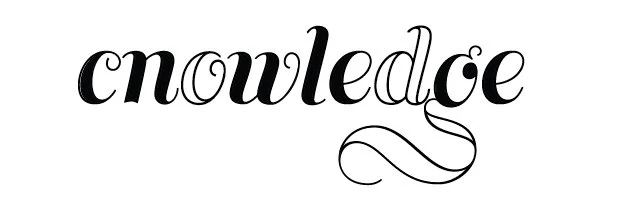 Custom logo brand asset for digital marketing on website and merchandise design.