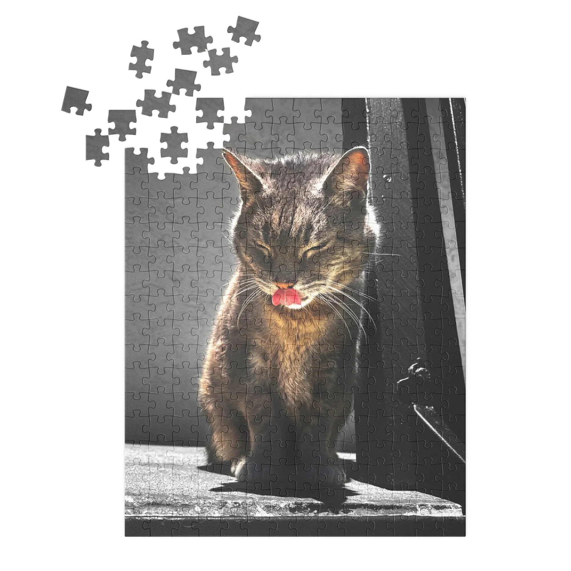 jigsaw-puzzle-with-tin-white-%28glossy%29-14x11-%28252-pcs%29-front-6a2f9ade8dc8c.jpg