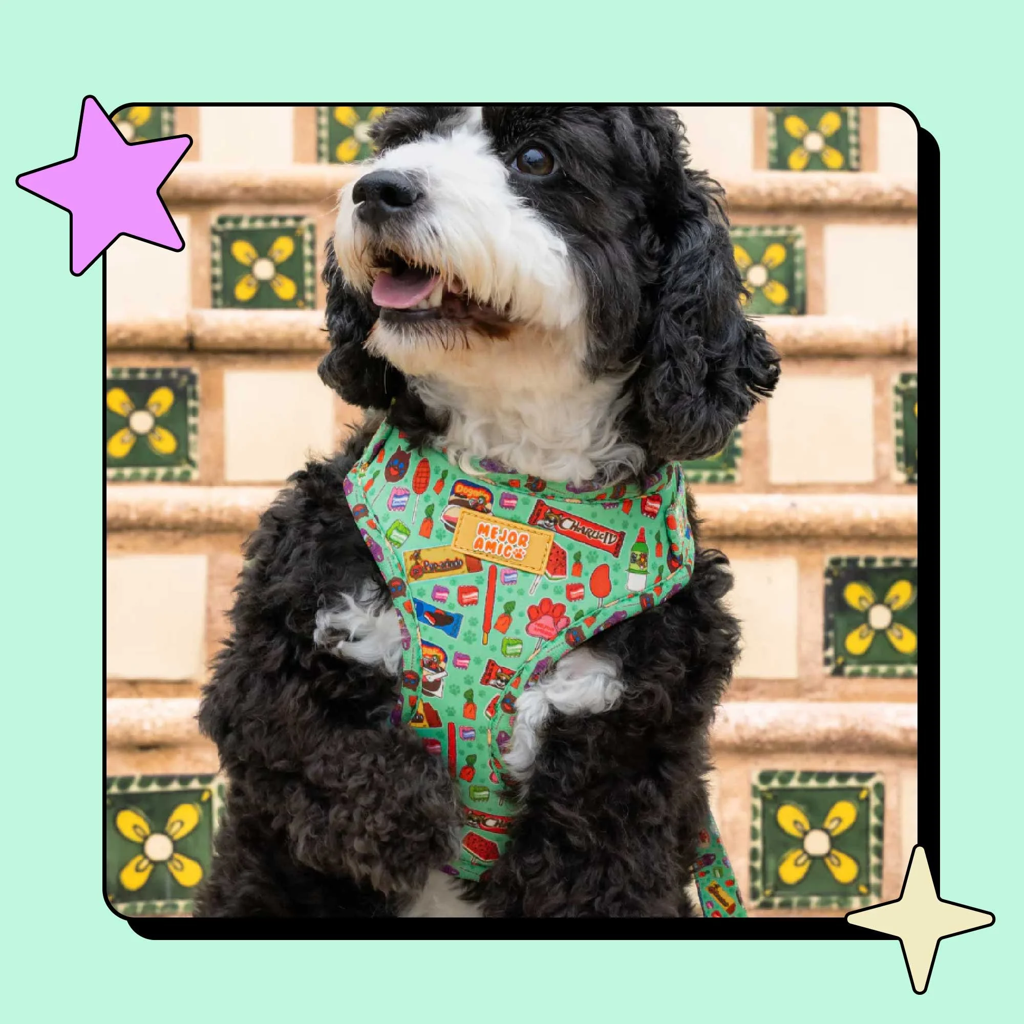 Mexican Candy Pet Supply Design