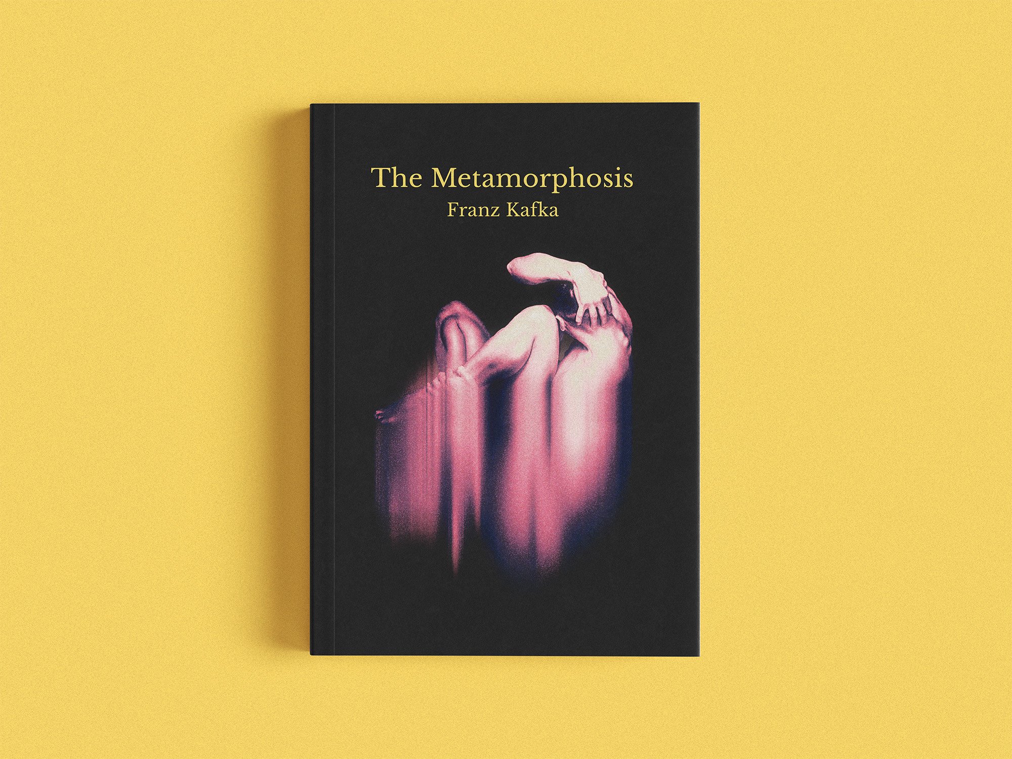 metamorphosis 2 book.jpg