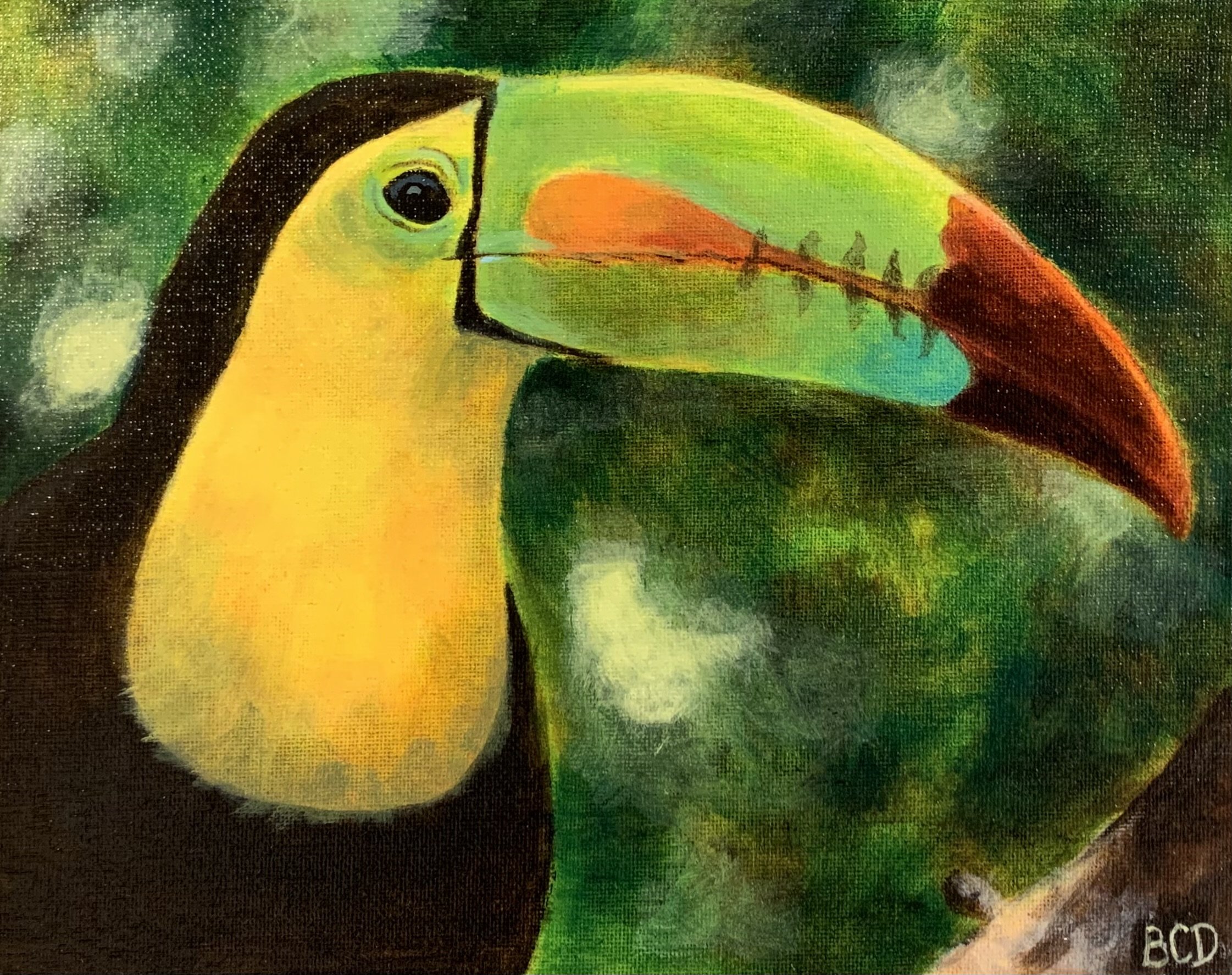 Toocan
Acrylic on 8" x 10" Canvas