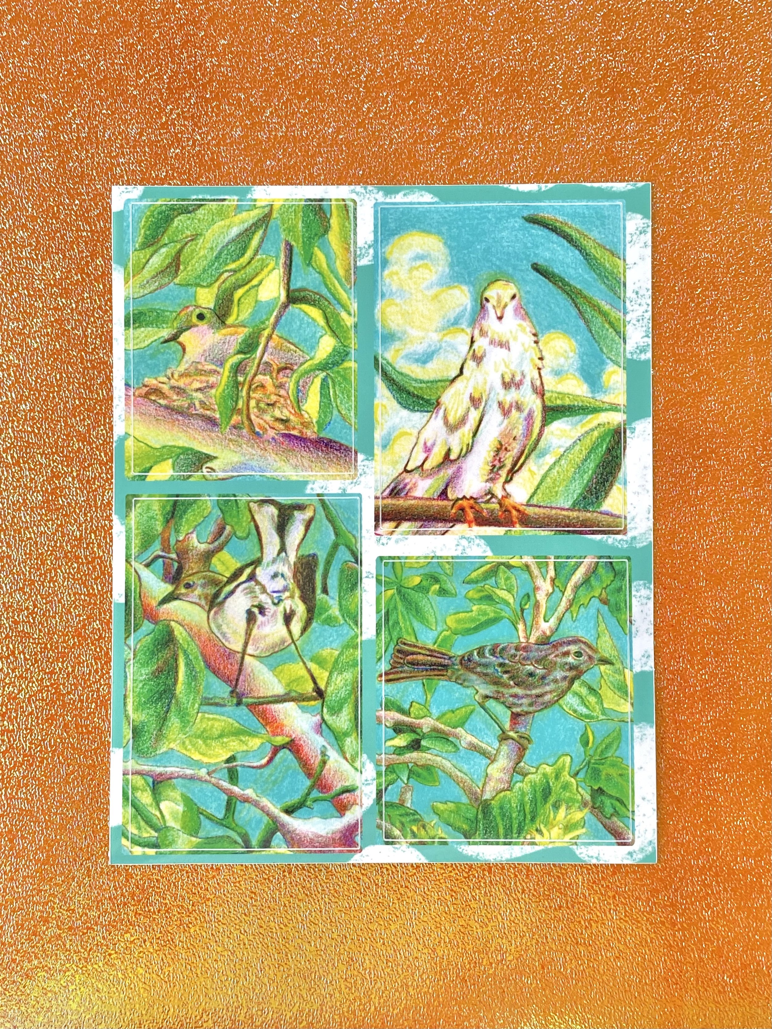 Bird Study Sticker Sheet