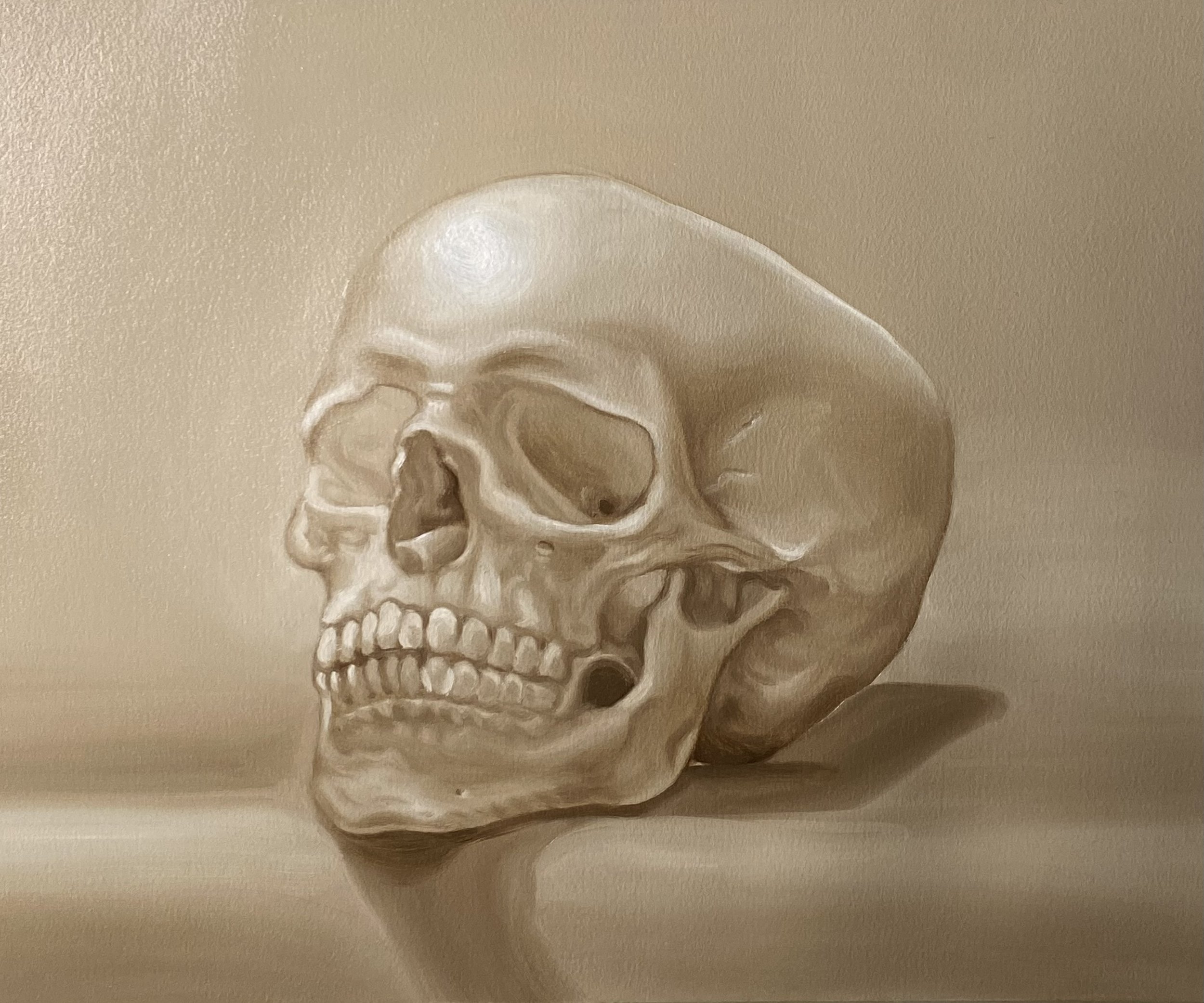 Skull Study, 12”x16” oil on paper, 2024