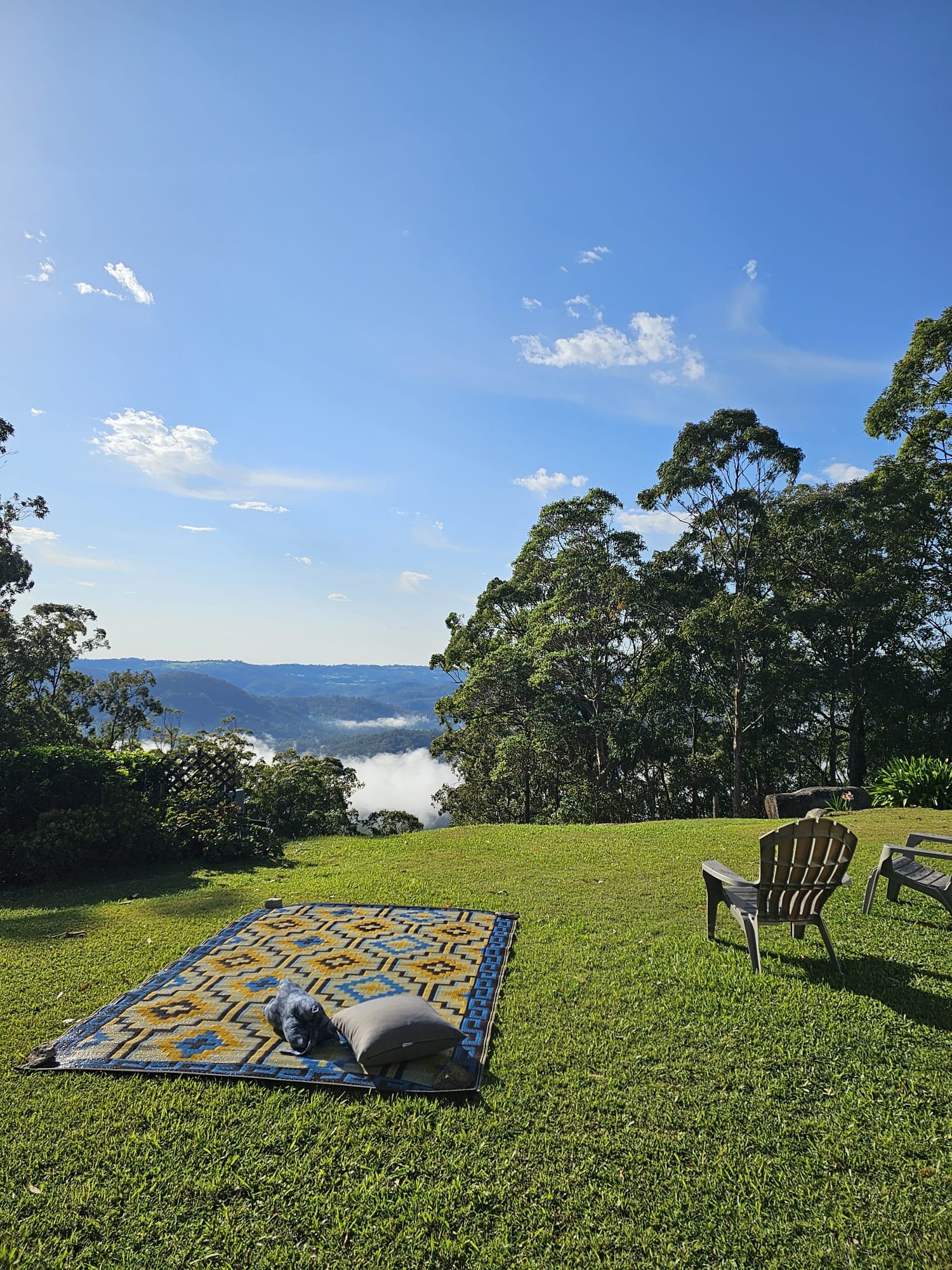 WhatsApp Image 2025-01-06 at 11.10.54 AM(3).jpeg