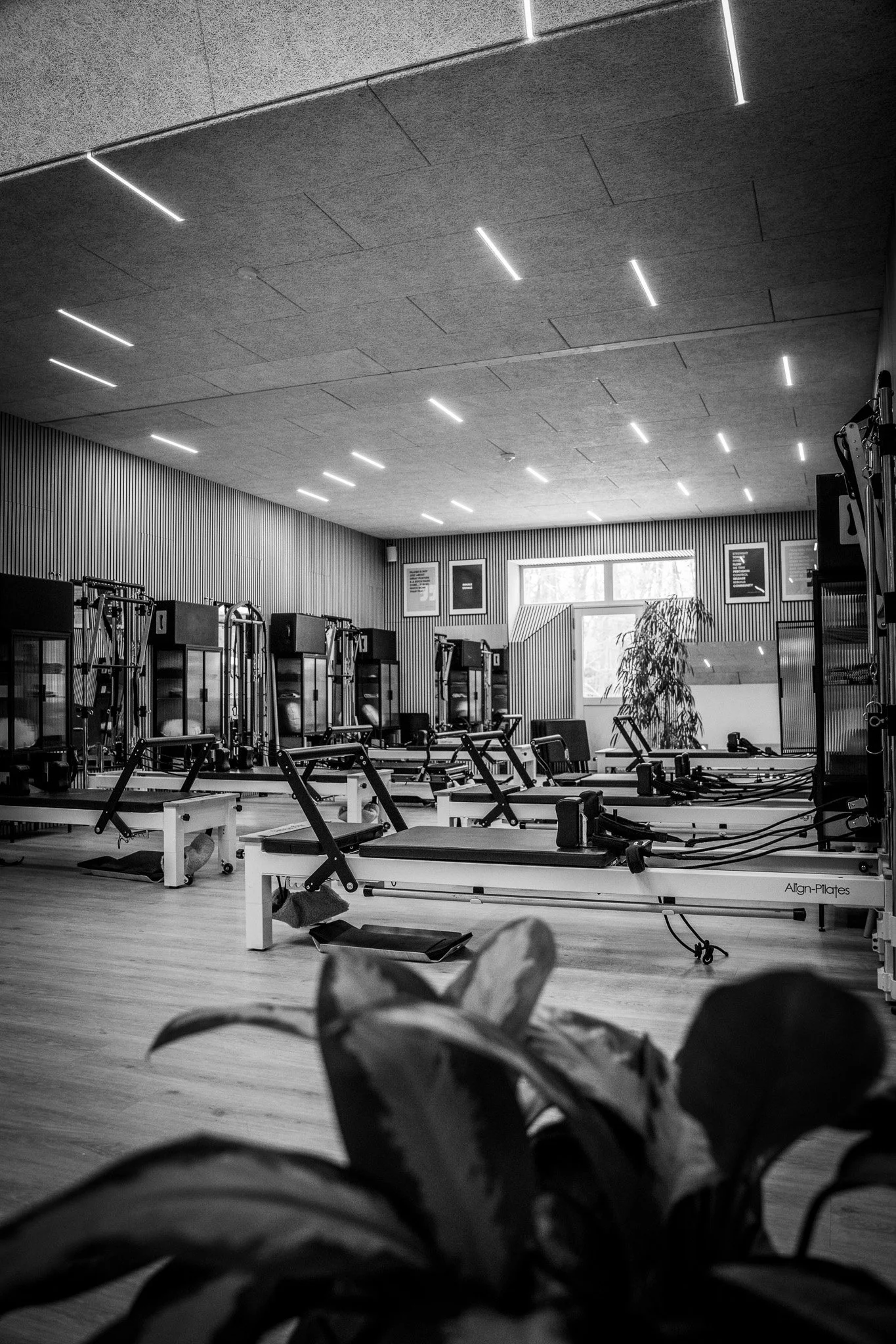 Reformer Hornbæk - træn reformer på små hold og med masser af udstyr. Vi har Align-Pilates Reformere, Waff mini og meget mere. Stort lyst lokale med behagelig temperatur