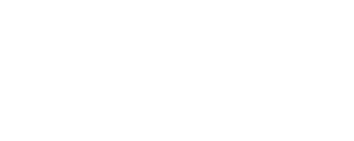 Lebanese International School logo
