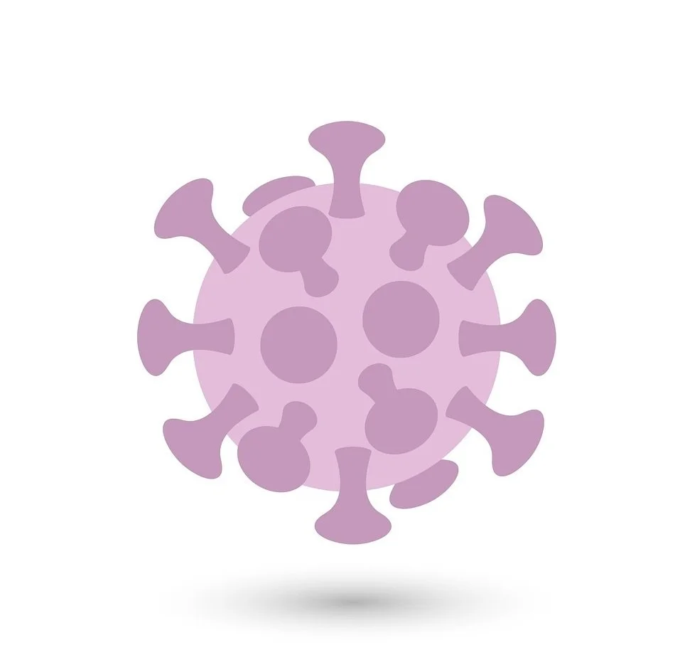 VIRUSI – KRIVCI ZA BOLESTI ILI INDIKATORI LOŠEG STANJA ORGANIZMA?