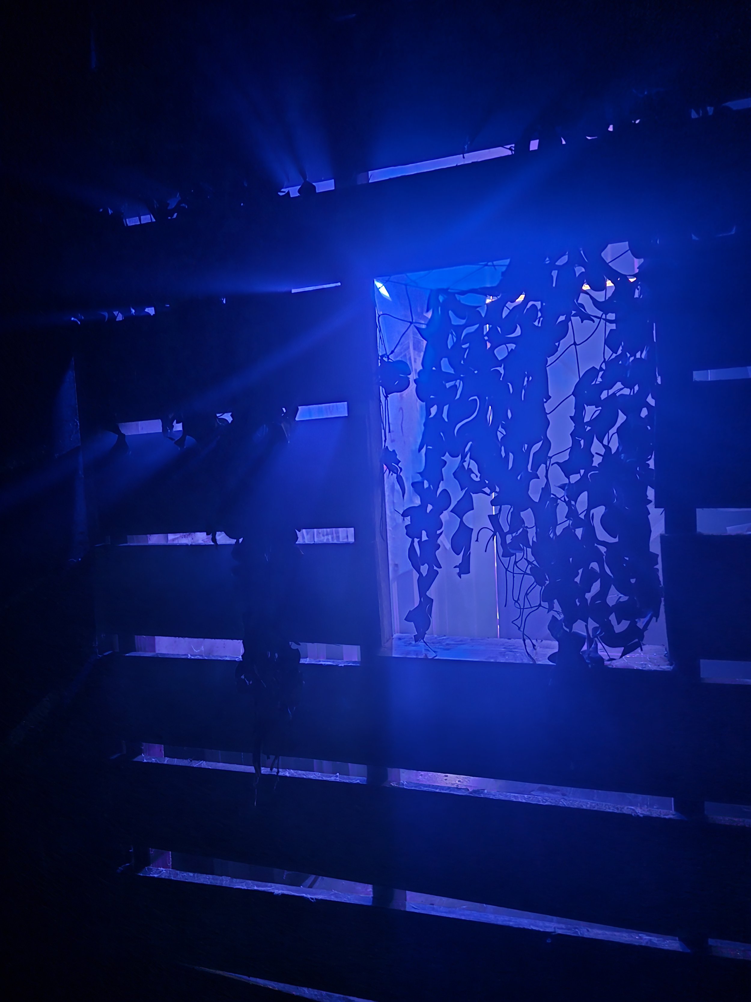 20251015_130029.jpg