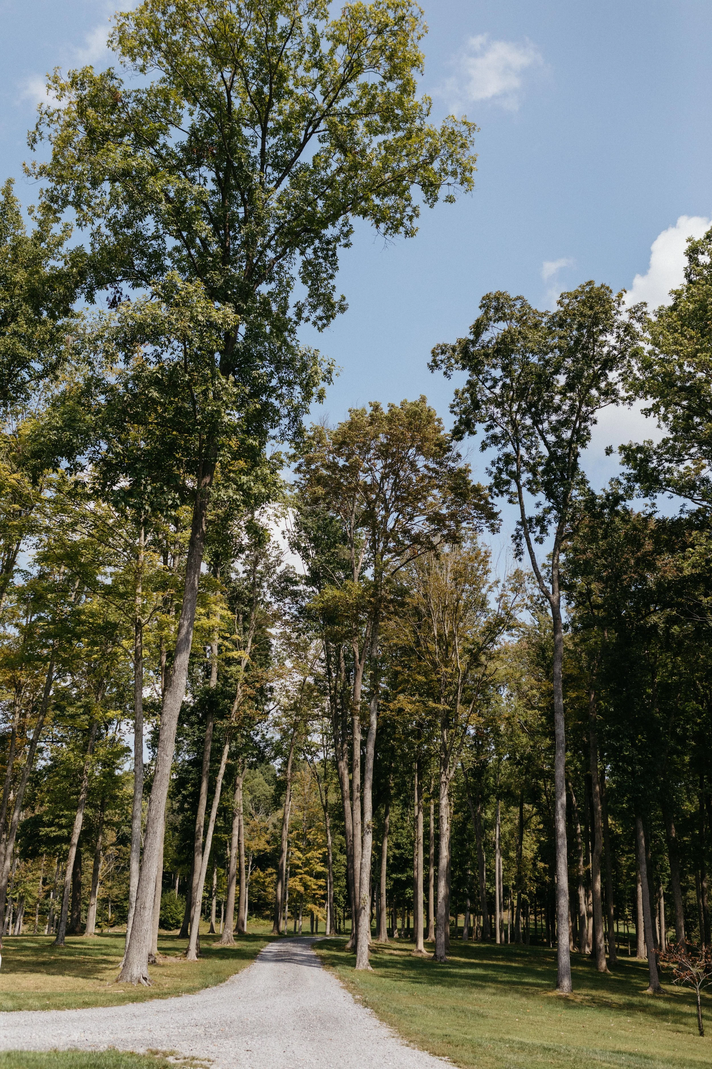 a2617-westvirginiaweddingvenue-1.jpg