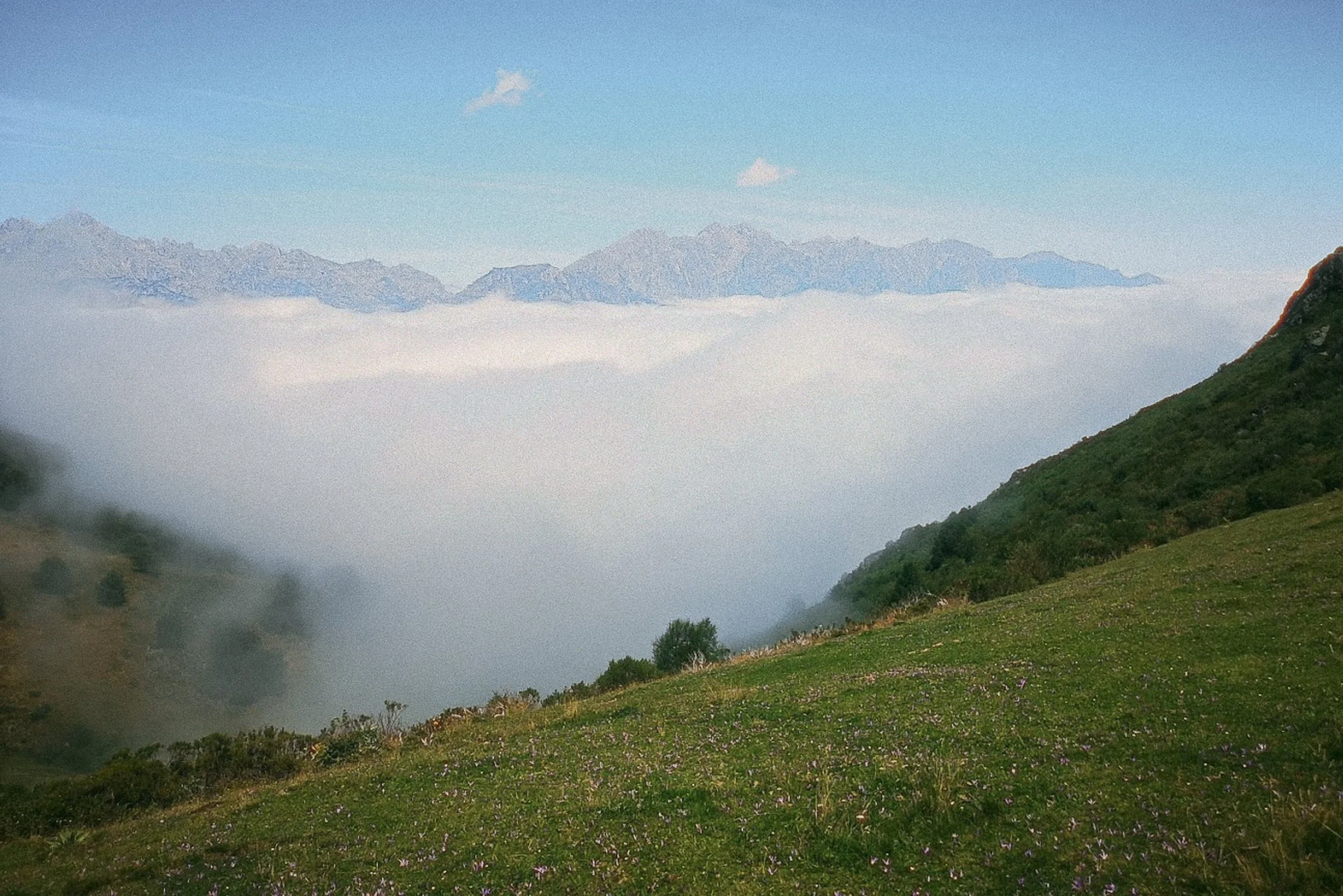 The horizon of vertical stone peaks at Mirador de Llesba.