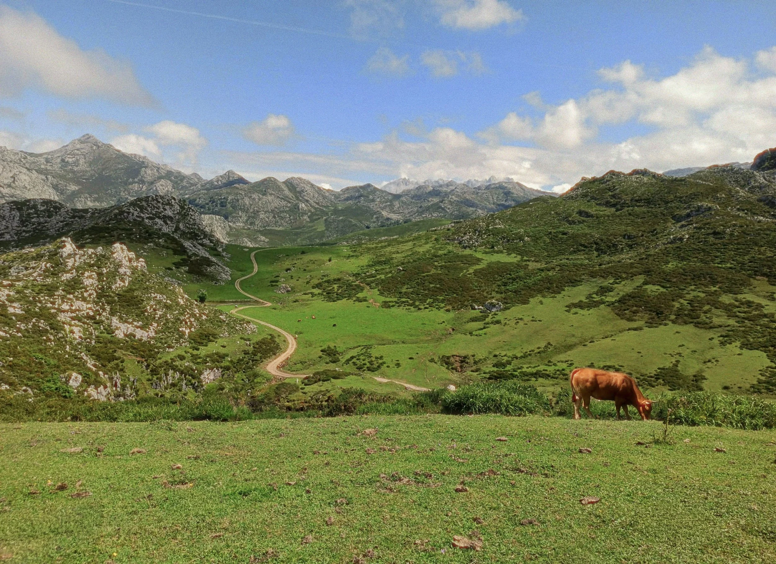 Views of a rugged limestone mountain ridge for an elopement location in Picos de Europa, Spain