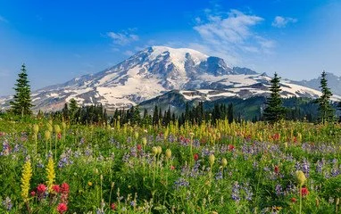 Best places to elope in Washington state mountain and forest landscape
