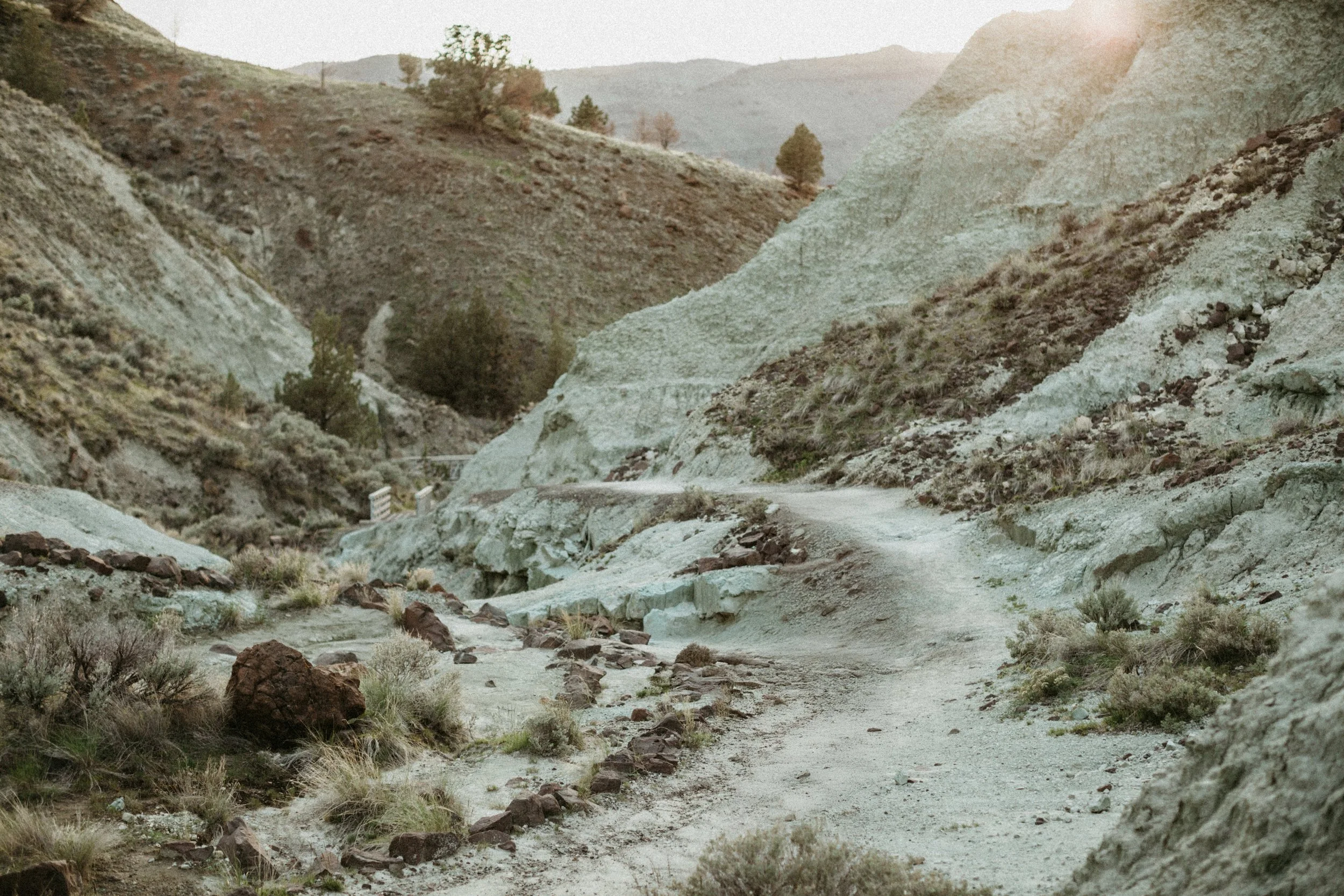 John Day Fossil Beds Oregon elopement landscape with painted hills and desert terrain