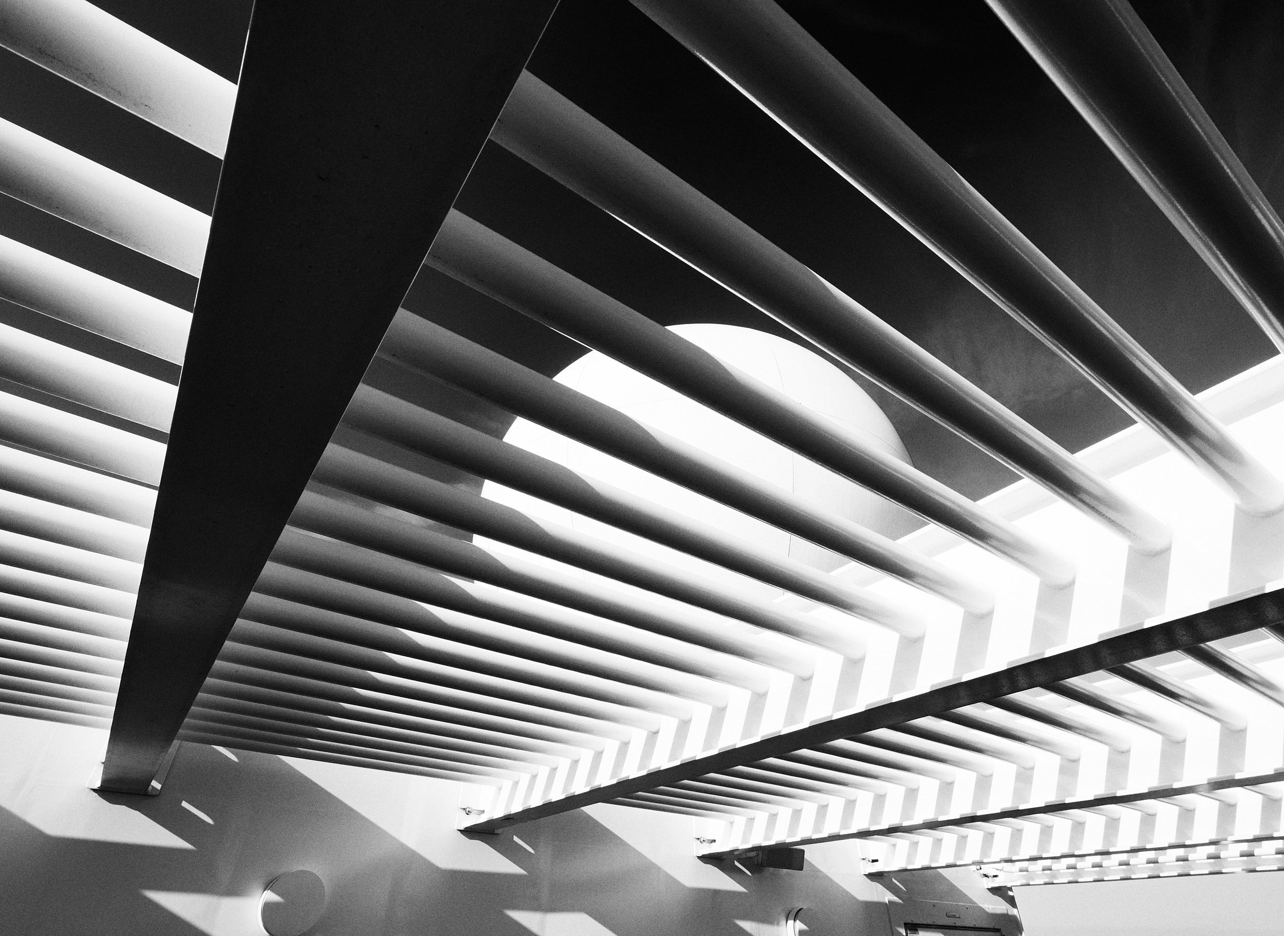 d1371-036-co-2500px.jpg